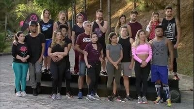 Assistir Power Couple Brasil Temporada 3 Episódio 14 Online em HD