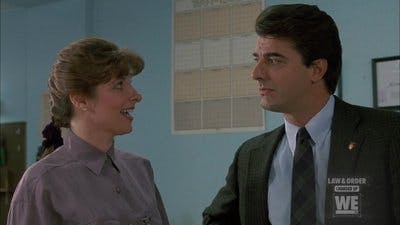 Assistir Lei & Ordem Temporada 2 Episódio 15 Online em HD