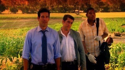 Assistir CSI: Miami Temporada 8 Episódio 5 Online em HD