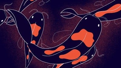 Assistir Headspace – Guia para Dormir Melhor Temporada 1 Episódio 3 Online em HD