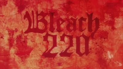 Assistir Bleach Temporada 1 Episódio 220 Online em HD