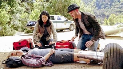 Assistir Scorpion: Serviço de Inteligência Temporada 4 Episódio 10 Online em HD