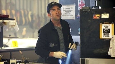 Assistir NCIS: Nova Orleans Temporada 3 Episódio 17 Online em HD