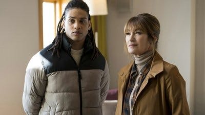Assistir Harry Wild Temporada 3 Episódio 1 Online em HD