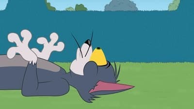 Assistir O Show de Tom e Jerry Temporada 2 Episódio 25 Online em HD