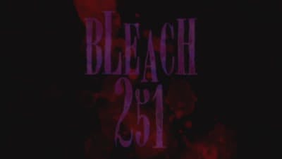 Assistir Bleach Temporada 1 Episódio 251 Online em HD