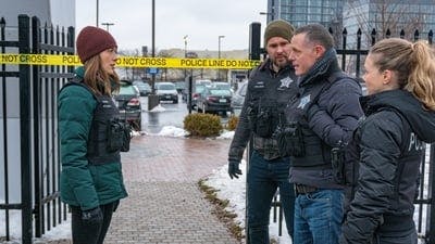 Assistir Chicago P.D.: Distrito 21 Temporada 6 Episódio 17 Online em HD