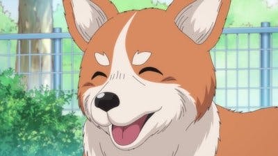 Assistir Oda Cinnamon Nobunaga Temporada 1 Episódio 12 Online em HD