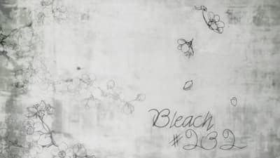 Assistir Bleach Temporada 1 Episódio 232 Online em HD