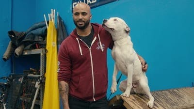 Assistir Intervenção Canina Temporada 1 Episódio 6 Online em HD