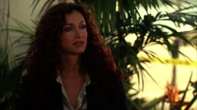 Assistir CSI: Miami Temporada 3 Episódio 10 Online em HD