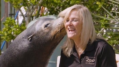 Assistir Os Segredos do Zoológico Temporada 5 Episódio 3 Online em HD