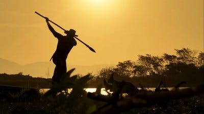 Assistir Pantanal Temporada 1 Episódio 164 Online em HD