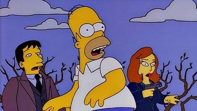 Assistir Os Simpsons Temporada 8 Episódio 10 Online em HD