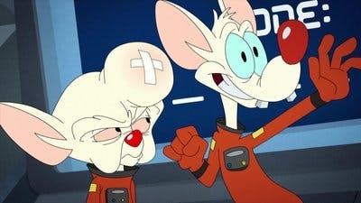 Assistir Animaniacs Temporada 2 Episódio 31 Online em HD