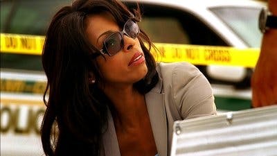 Assistir CSI: Miami Temporada 5 Episódio 10 Online em HD