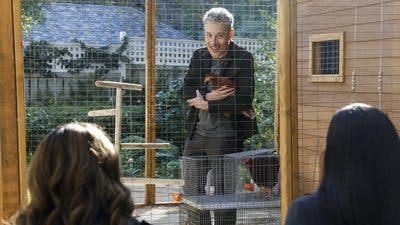 Assistir CSI: Vegas Temporada 3 Episódio 6 Online em HD