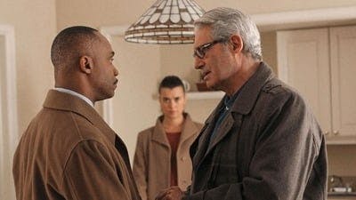 Assistir NCIS: Investigação Naval Temporada 10 Episódio 11 Online em HD