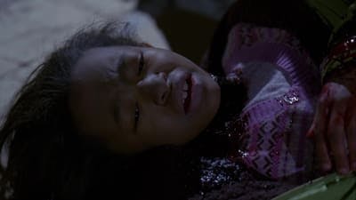 Assistir Lei & Ordem: Unidade de Vítimas Especiais Temporada 10 Episódio 17 Online em HD