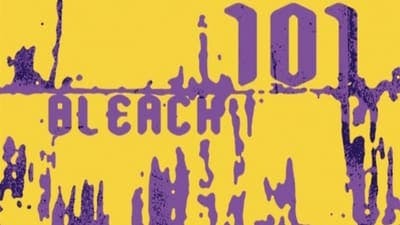 Assistir Bleach Temporada 1 Episódio 101 Online em HD