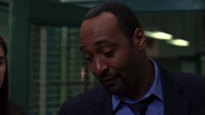 Assistir Lei & Ordem Temporada 17 Episódio 8 Online em HD