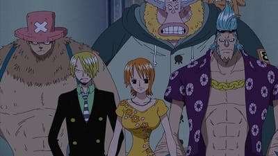 Assistir One Piece Temporada 11 Episódio 395 Online em HD