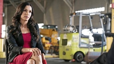 Assistir Lista Negra Temporada 3 Episódio 21 Online em HD