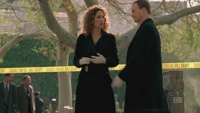 Assistir CSI: Nova York Temporada 2 Episódio 15 Online em HD