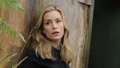 Assistir Covert Affairs: Assuntos Confidenciais Temporada 2 Episódio 12 Online em HD