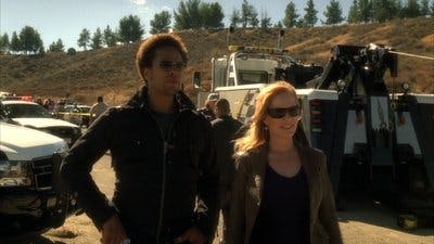 Assistir CSI: Investigação Criminal Temporada 7 Episódio 9 Online em HD
