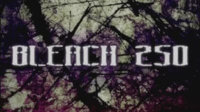 Assistir Bleach Temporada 1 Episódio 250 Online em HD