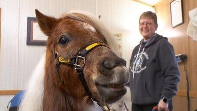 Assistir Clínica Animal com Dr. Pol Temporada 14 Episódio 2 Online em HD