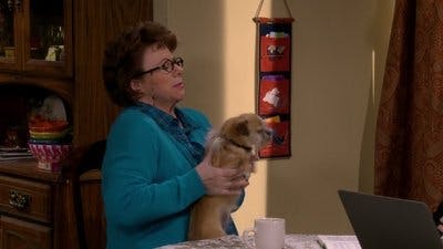 Assistir Mike & Molly: Um Casal de Peso Temporada 5 Episódio 20 Online em HD