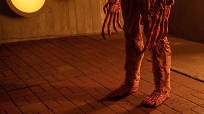 Assistir O Gabinete de Curiosidades de Guillermo Del Toro Temporada 1 Episódio 7 Online em HD