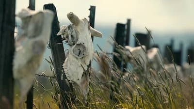 Assistir Mistérios sem Solução Temporada 3 Episódio 8 Online em HD