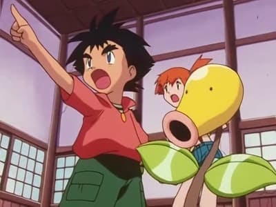 Assistir Pokémon Temporada 3 Episódio 14 Online em HD