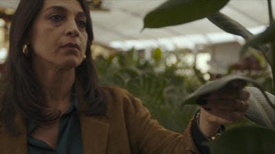 Assistir Desordem Pública Temporada 1 Episódio 5 Online em HD