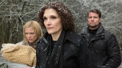 Assistir Grimm: Contos de Terror Temporada 3 Episódio 17 Online em HD