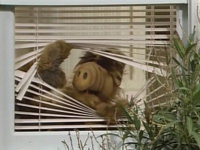 Assistir ALF, o ETeimoso Temporada 1 Episódio 1 Online em HD