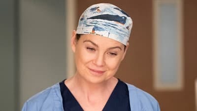 Assistir Grey’s Anatomy Temporada 14 Episódio 13 Online em HD