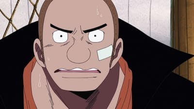 Assistir One Piece Temporada 6 Episódio 189 Online em HD