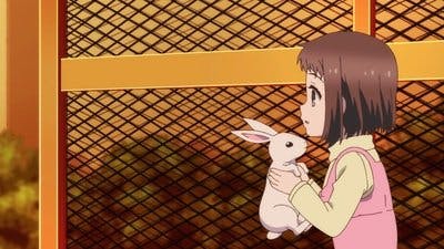 Assistir Akkun to Kanojo Temporada 1 Episódio 13 Online em HD
