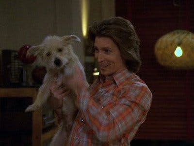 Assistir De Volta aos Anos 70 Temporada 8 Episódio 20 Online em HD