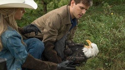 Assistir Heartland Temporada 9 Episódio 6 Online em HD