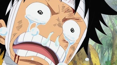 Assistir One Piece Temporada 13 Episódio 505 Online em HD