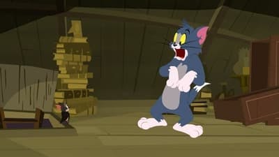 Assistir O Show de Tom e Jerry Temporada 1 Episódio 14 Online em HD