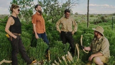 Assistir O Segredo do Rancho Skinwalker Temporada 5 Episódio 2 Online em HD