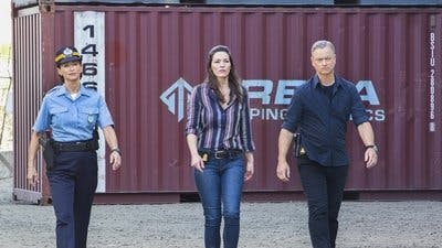 Assistir Mentes Criminosas: Sem Fronteiras Temporada 2 Episódio 8 Online em HD