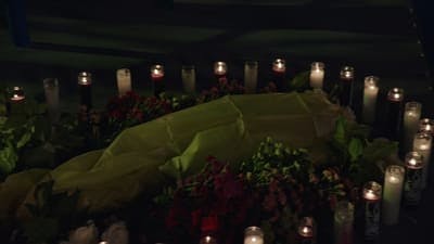 Assistir Sangue Azul Temporada 14 Episódio 6 Online em HD