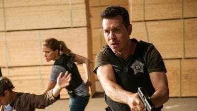 Assistir Chicago P.D.: Distrito 21 Temporada 2 Episódio 2 Online em HD